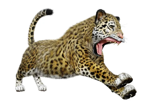 Weergave Van Een Grote Kat Jaguar Geïsoleerd Witte Achtergrond — Stockfoto