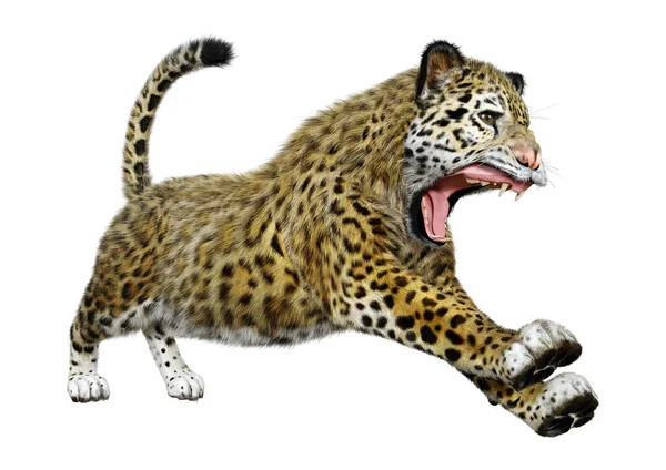 Rendering Big Cat Jaguar Isolated White Background — Stock Photo, Image