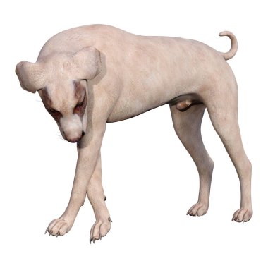 Beyaz arka planda izole edilmiş melez bir köpeğin 3 boyutlu canlandırması