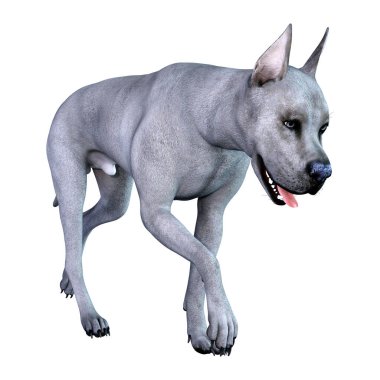 Beyaz arka plan üzerinde izole mavi bir Danua köpek 3D render