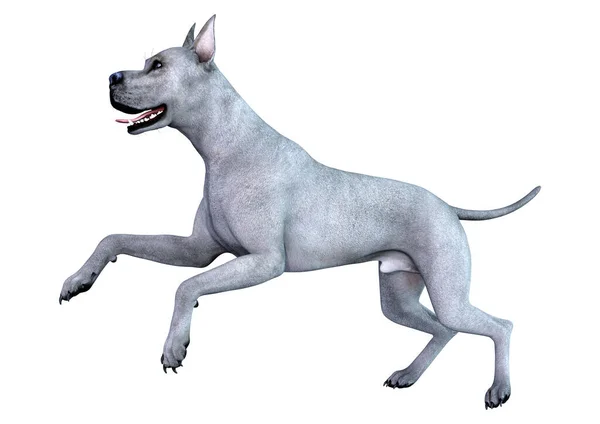 Darstellung Eines Blauen Dogen Hundes Isoliert Auf Weißem Hintergrund — Stockfoto