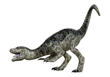 Beyaz arka plan üzerinde izole bir dinozor Tyrannosaurus civciv 3D render