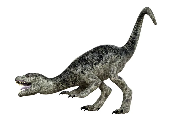 Weergave Van Een Dinosaurus Tyrannosaurus Hatchling Geïsoleerd Witte Achtergrond — Stockfoto