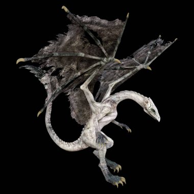 Siyah arka planda izole edilmiş bir fantezi ejderhanın 3 boyutlu canlandırması