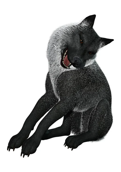 Візуалізація Чорного Вовка Ізольовано Білому Тлі — стокове фото