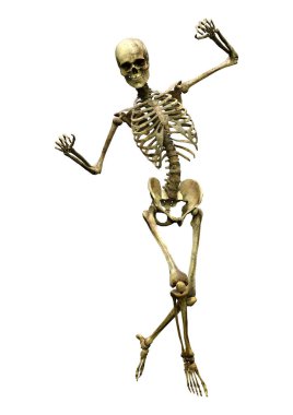 Beyaz arkaplanda izole edilmiş bir insan iskeletinin 3 boyutlu görüntülenmesi