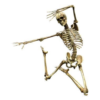 Beyaz arkaplanda izole edilmiş bir insan iskeletinin 3 boyutlu görüntülenmesi