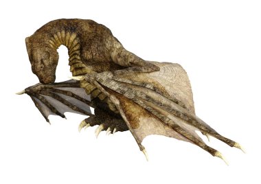 Beyaz arka planda izole edilmiş bir fantezi ejderhanın 3 boyutlu canlandırması