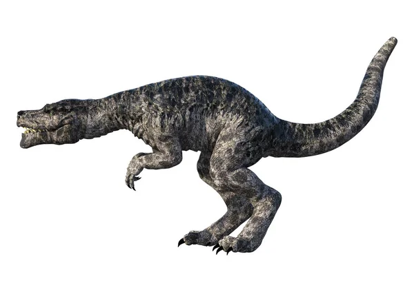 Beyaz Arkaplanda Izole Edilmiş Bir Dinozor Tyrannosaurus Unun Boyutlu Görüntüsü — Stok fotoğraf