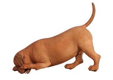 Beyaz arka planda izole sevimli bir köpek yavrusu 3D render