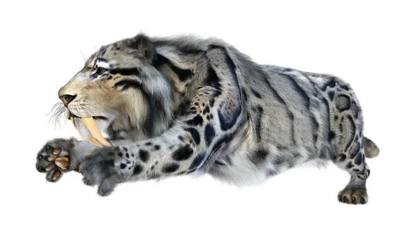 Vykreslení Šavlozubého Tygra Izolovaného Bílém Pozadí — Stock fotografie