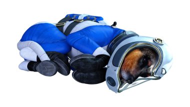 Beyaz arkaplanda izole edilmiş bir astronot köpeğinin 3 boyutlu görüntülemesi