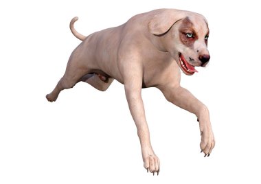 Beyaz arka planda izole edilmiş melez bir köpeğin 3 boyutlu canlandırması