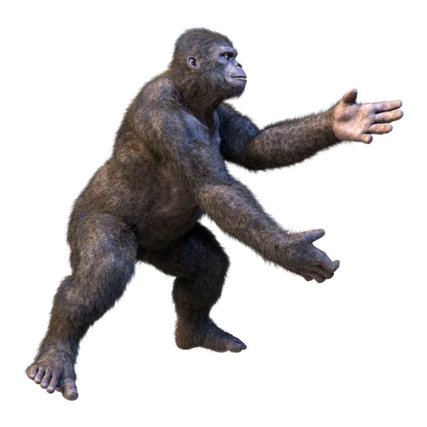 Renderização Gorila Macaco Isolado Fundo Branco — Fotografia de Stock