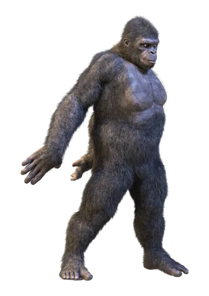 Rendering Eines Gorillaaffen Isoliert Auf Weißem Hintergrund — Stockfoto