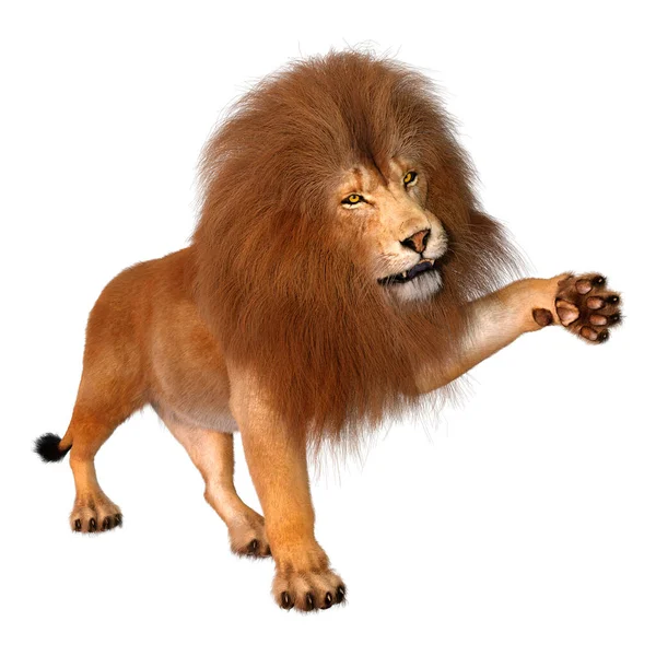 Rendering Male Lion Isolated White Background — Stock Photo, Image