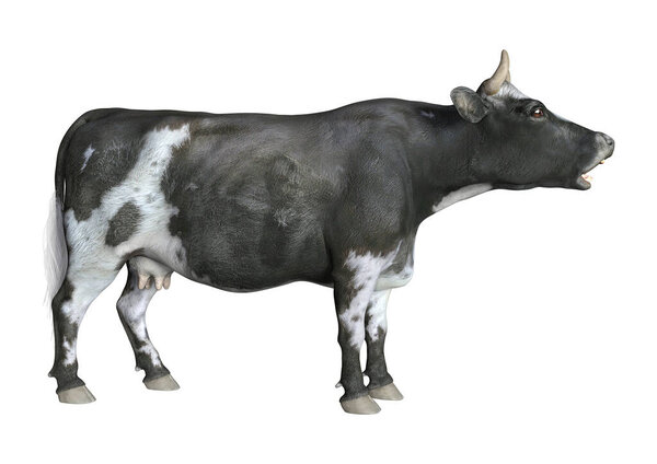 3D рендеринг коровы на белом фоне
