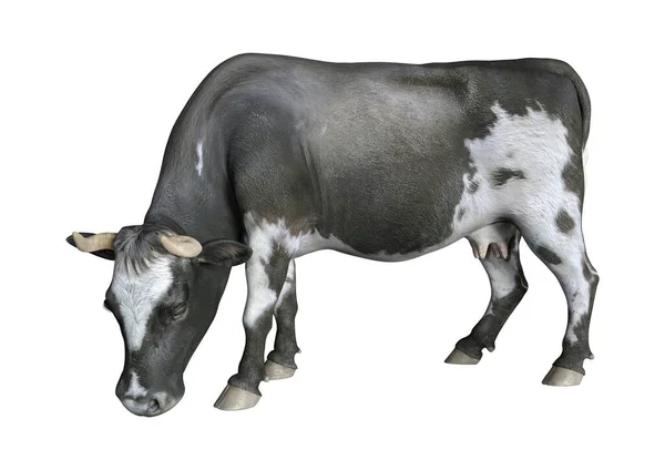 Representación Una Vaca Animal Granja Aislada Sobre Fondo Blanco —  Fotos de Stock