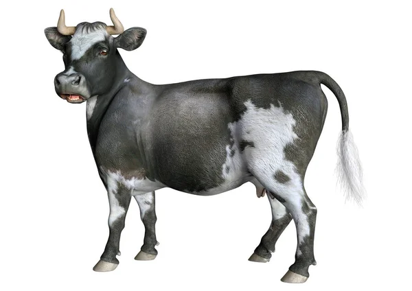 Rendering Una Mucca Animale Fattoria Isolata Sfondo Bianco — Foto Stock