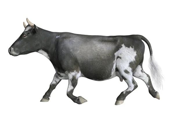 Representación Una Vaca Animal Granja Aislada Sobre Fondo Blanco — Foto de Stock