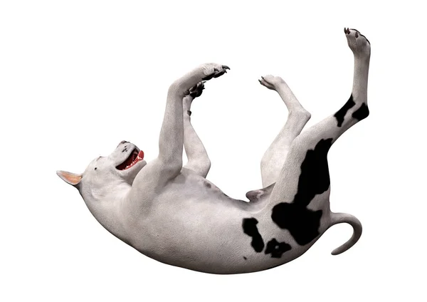 Рендеринг Собаки Великого Датчанина Белом Фоне — стоковое фото