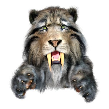 Kılıç dişli kaplanın 3 boyutlu görüntüsü beyaz arkaplanda izole edilmiş.