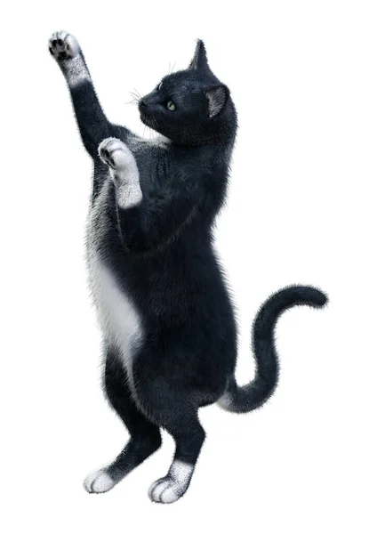 Rendering Einer Schwarzen Katze Isoliert Auf Weißem Hintergrund — Stockfoto