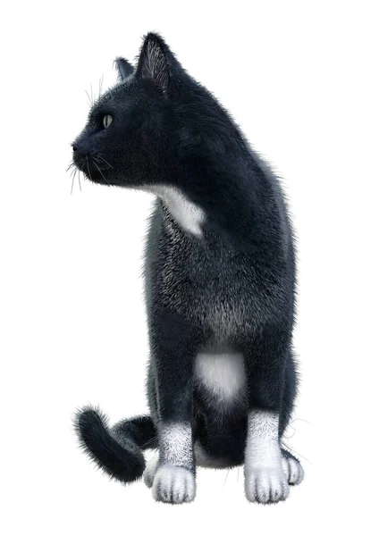 白地に隔離された黒猫の3Dレンダリング — ストック写真