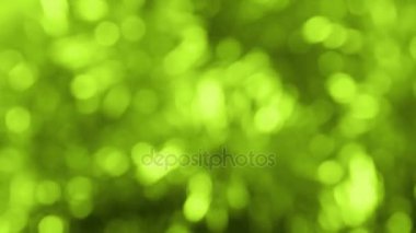 sihirli ışıklar rotasyonlar