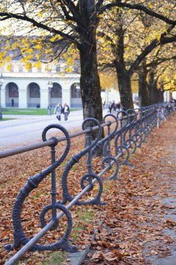 Munich park sonbaharda