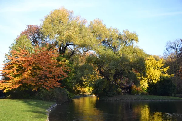 Outono paisagem com árvores coloridas — Fotografia de Stock