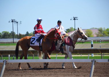 Shakopee, Mn - 13 Mayıs 2017: Racehorses ve jockeys dörtnala