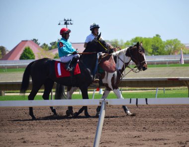 Racehorses ve jockeys dörtnala