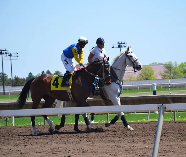 Shakopee, Mn - 13 Mayıs 2017: Racehorses ve jockeys dörtnala