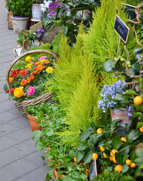 Buiten Bloemwinkel Madrid Spanje — Stockfoto