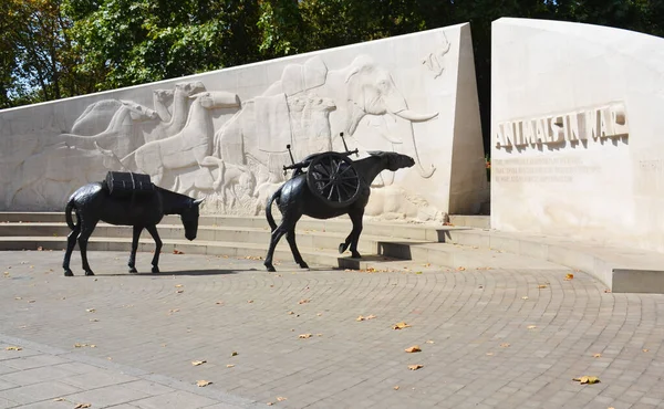 Londra Marea Britanie August 2019 Memorialul Animalelor Război Din Park — Fotografie, imagine de stoc