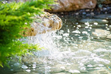 güzel manzara tasarımı