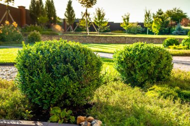 güzel manzara tasarımı