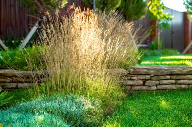 güzel manzara tasarımı