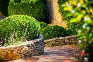 güzel manzara tasarımı