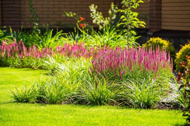 güzel manzara tasarımı