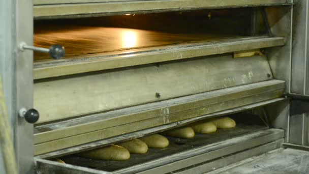 Traditionele bakkerij bakt brood — Stockvideo