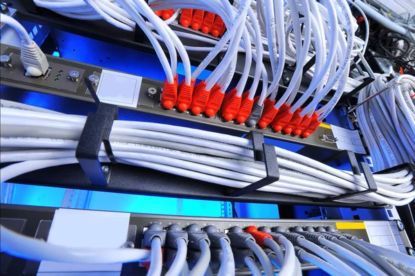 large group of internet cabling in the data center