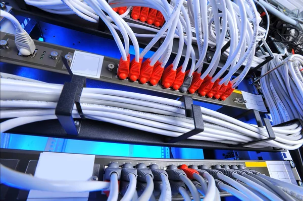 Grande grupo de cabeamento de internet no data center — Fotografia de Stock