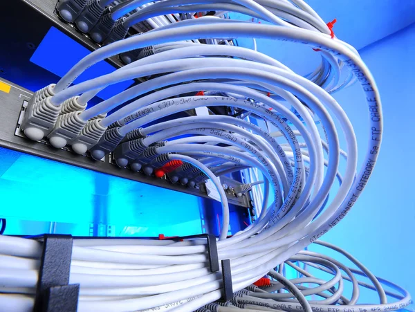 Велика група інтернет кабелів в центрі обробки даних — стокове фото
