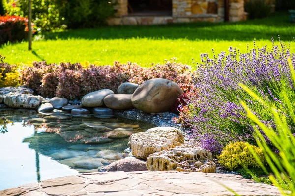 Hermoso diseño de paisaje patio trasero. Vista de árboles coloridos y arbustos decorativos recortados rocas —  Fotos de Stock