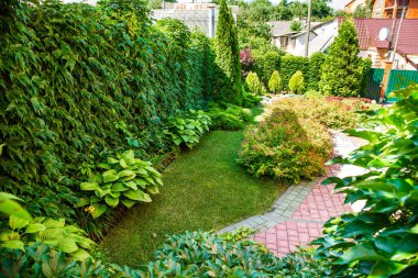 Güzel arka bahçe peyzaj tasarımı. Renkli ağaçlar və dekoratif çalılar taş kesilmiş