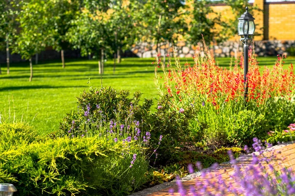 Güzel arka bahçe peyzaj tasarımı. Renkli ağaçlar və dekoratif çalılar taş kesilmiş — Stok fotoğraf