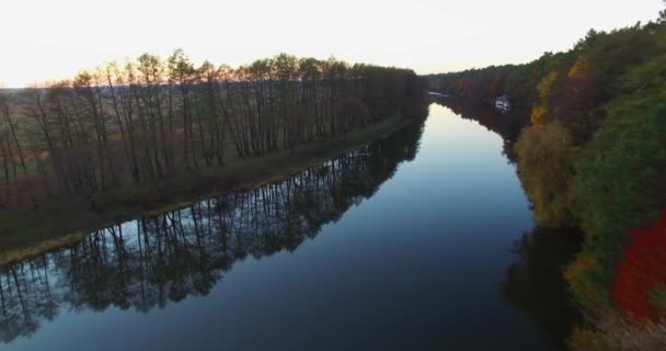空中からの眺め緑の森平野の川. — ストック動画