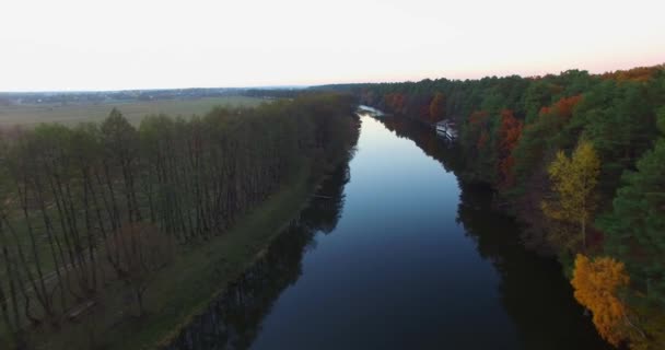 Veduta aerea del fiume sulla pianura verde foresta. — Video Stock